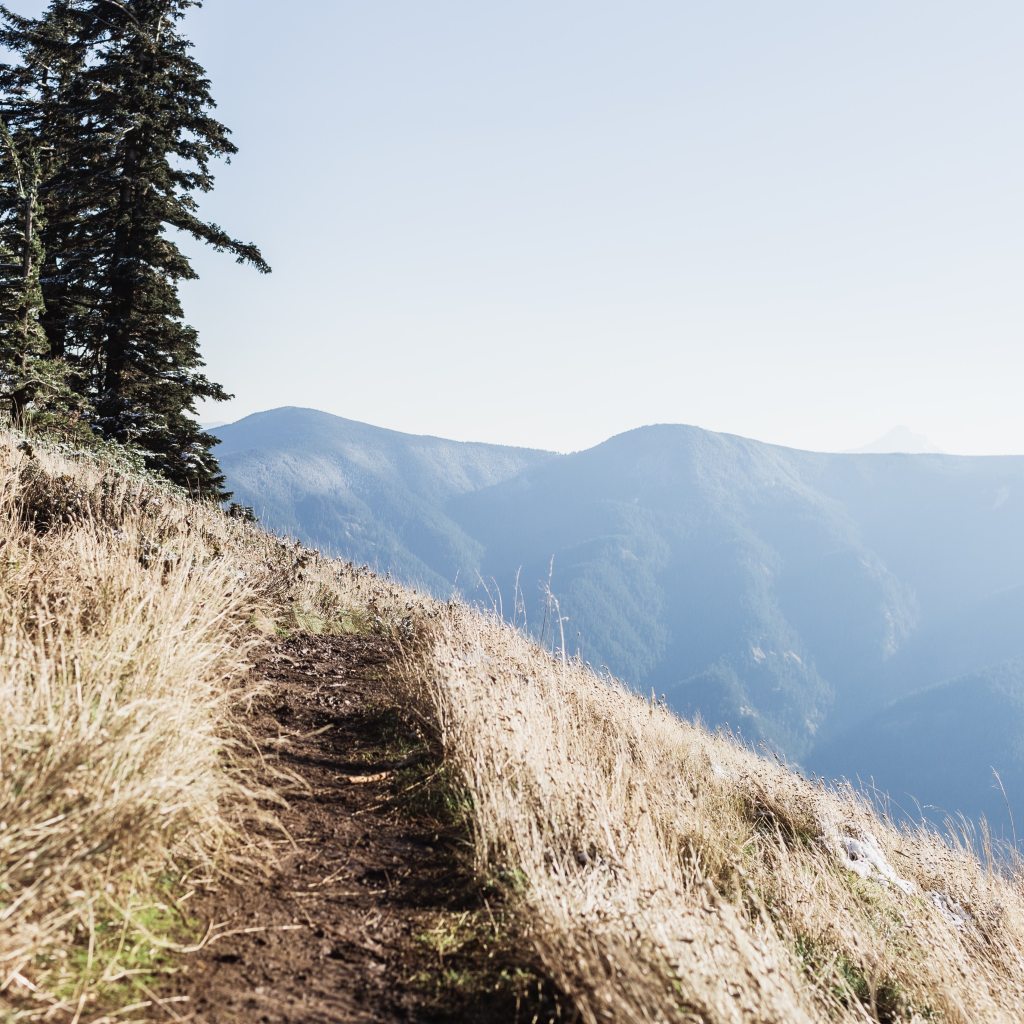trail on Dog Mountain in Washington state